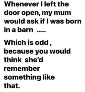 1745604175340.jpeg