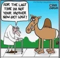 FB_IMG_1745346884802.jpg