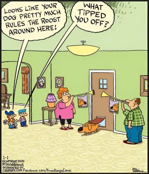 dogrulesjoke.jpg