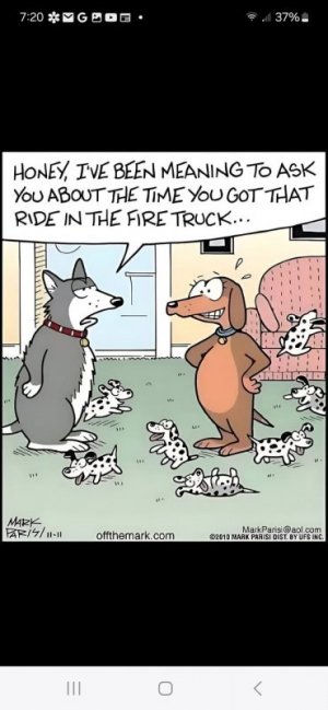 dogfiretruckfunny.jpg