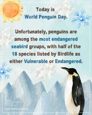 penguinendangered.jpg
