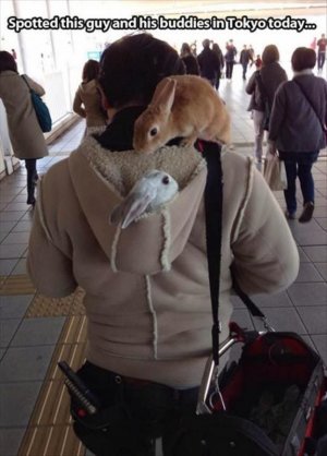 apr4.jpg
