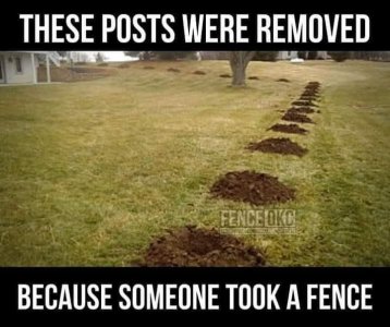 1000004969.jpg