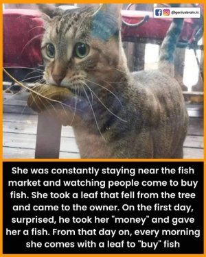 1000011559.jpg