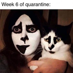 0.jpg