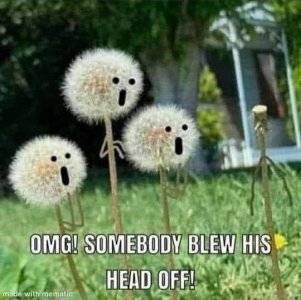 IMG_1241.jpeg