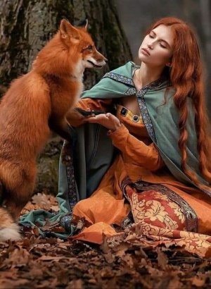 autumn fox.jpg