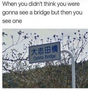 IMG_1240.jpeg