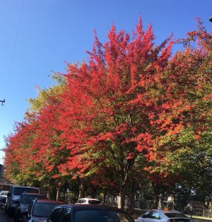 IMG_1859.jpeg