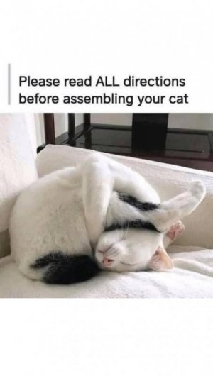 FB_IMG_1745377622217.jpg