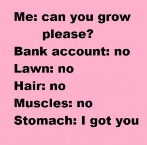 FB_IMG_1745584996598.jpg