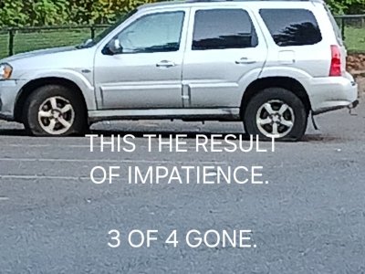 20250426_194314.jpg