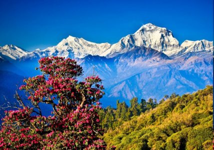 111963-Nepal-Himalayas-mountain-nature-landscape-hill-trees-937735790.jpg