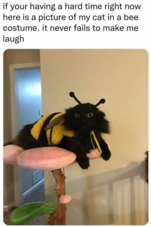 1000011615.jpg