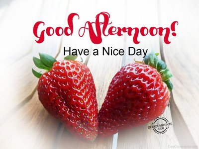 Good Afternoon Nice Day.jpg