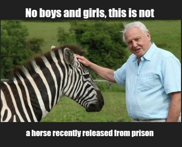 DA5.jpg