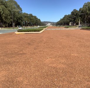 IMG_9528.jpeg