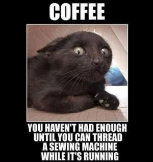 IMG_1263.jpeg