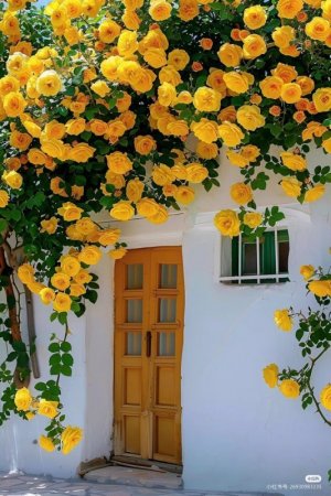 yellow roses door.jpg