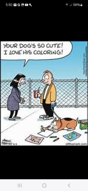FB_IMG_1745699728703.jpg