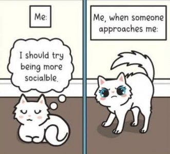 FB_IMG_1745980416635.jpg