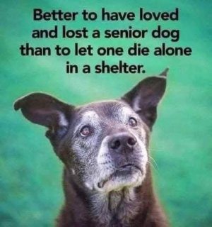 FB_IMG_1745980266963.jpg