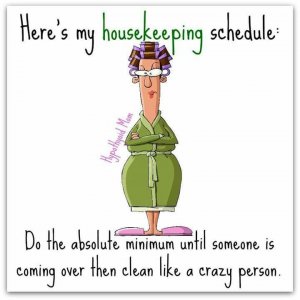 cleaning lady 3.jpg