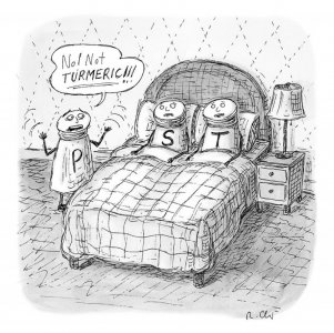 not-turmeric-roz-chast.jpg