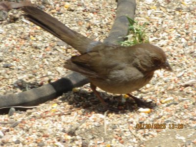 IMG_9058.JPG