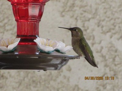 IMG_9048.JPG