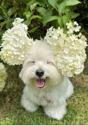 animal6.jpg