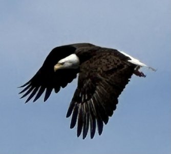 IMG_8146.jpeg