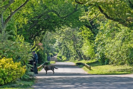 Standish Western Route scheme 01 May 25-3.jpg
