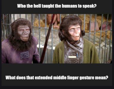 apes.jpg