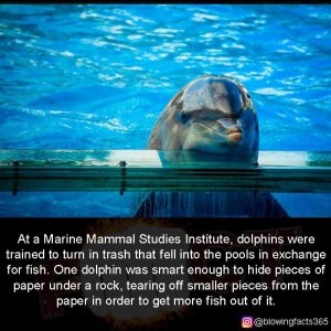 FB_IMG_1746190616779.jpg