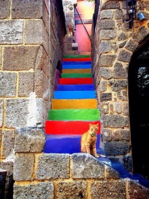 multi stairs.jpg