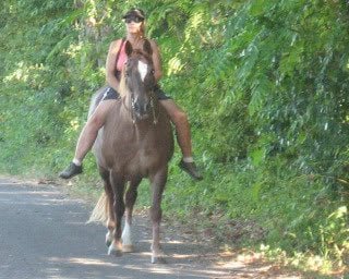 IMG_0270.jpeg