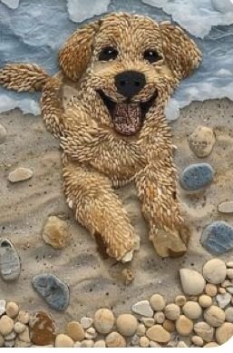 brown dog pebbles.jpg
