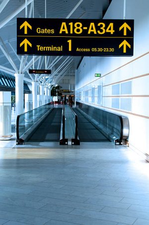 istockphoto-183383708-612x612.jpg