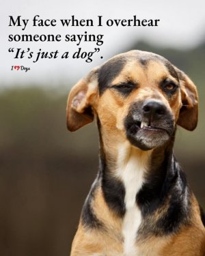 FB_IMG_1746254211637.jpg