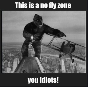 kong.jpg