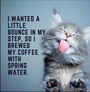 coffee.jpg