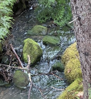 IMG_8658.jpeg