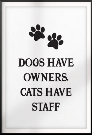 cats-staff.jpg