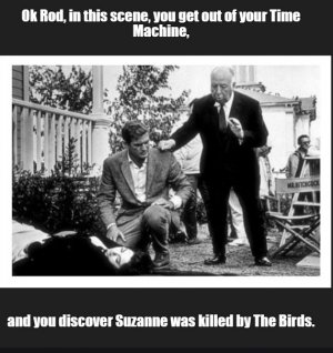 Birds1.jpg