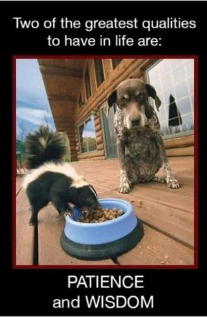 FB_IMG_1746025621011.jpg