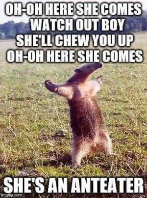 FB_IMG_1739742350617.jpg