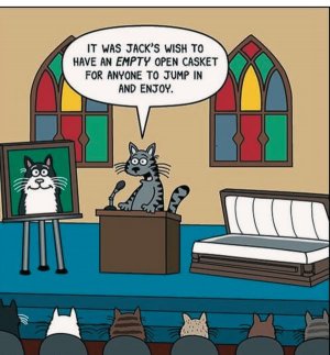 emptycatcasketjoke.jpg
