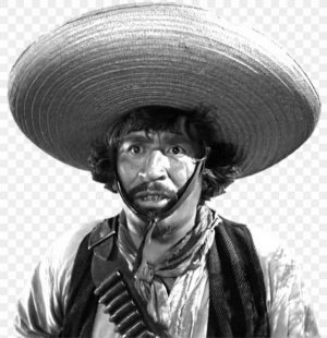 gold-hat-badges-we-ain-t-got-no-badges-we-don-t-need-no-badges-i-don-t-have-to-show-you-any-st...jpg