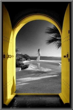 yellow doors.jpg